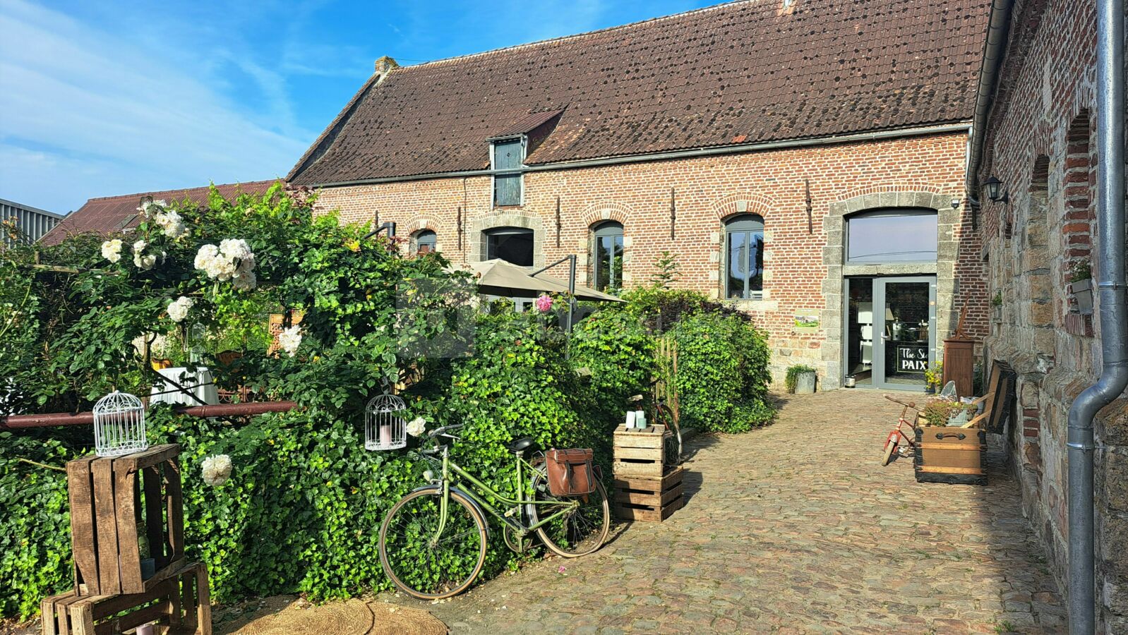 Le patio