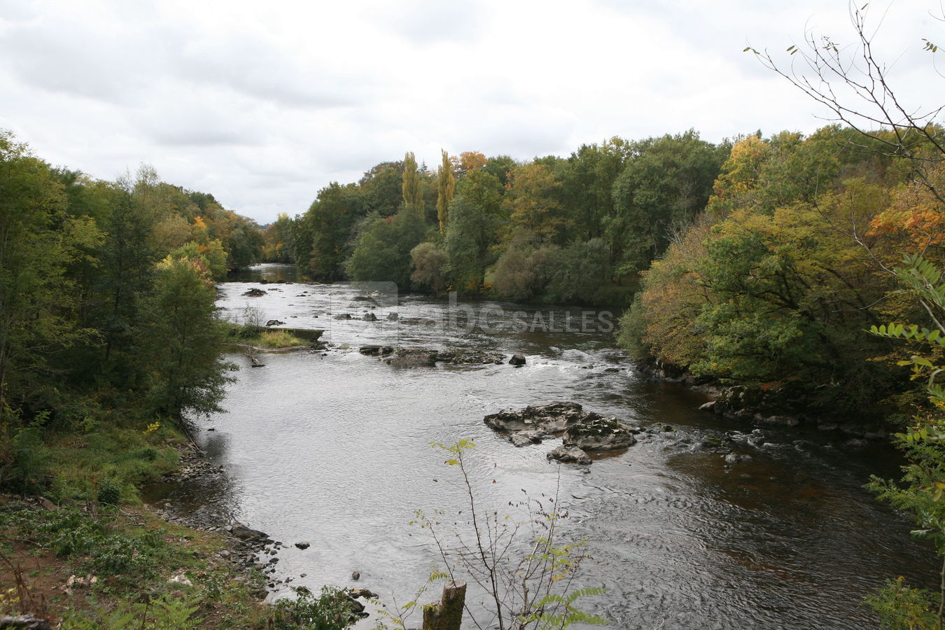 Rivière