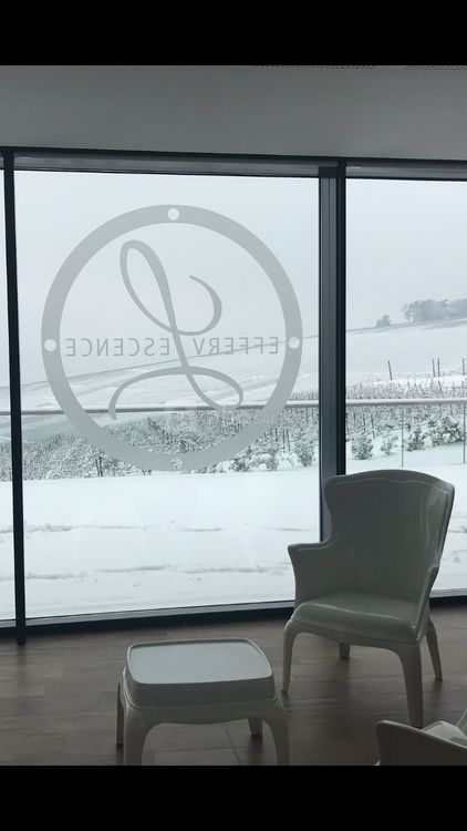 L'Effervescence sous la neige