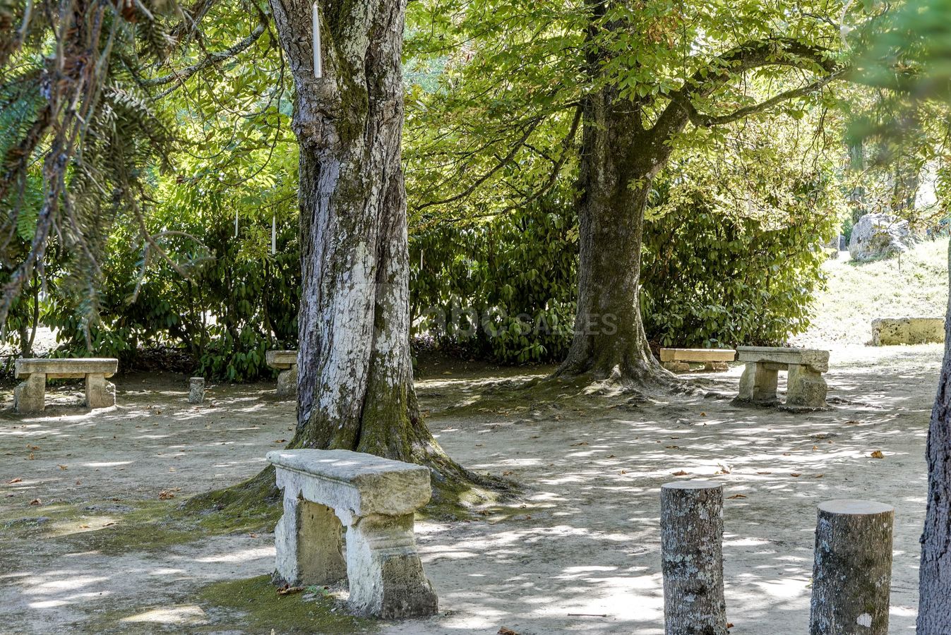 Jardin