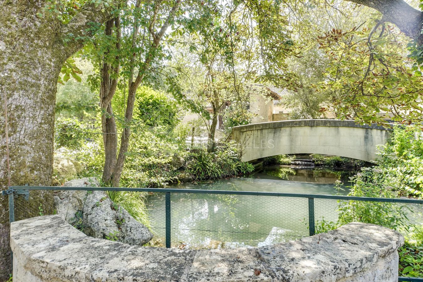 Jardin