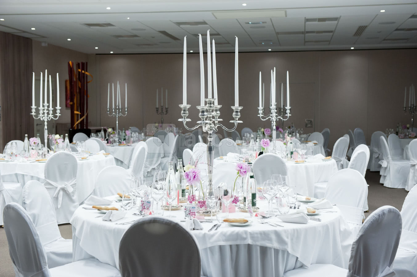 Salle de réception événement privé - DoubleTree by Hilton Lyon Eurexpo