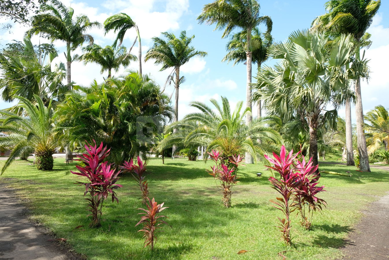 Parc
