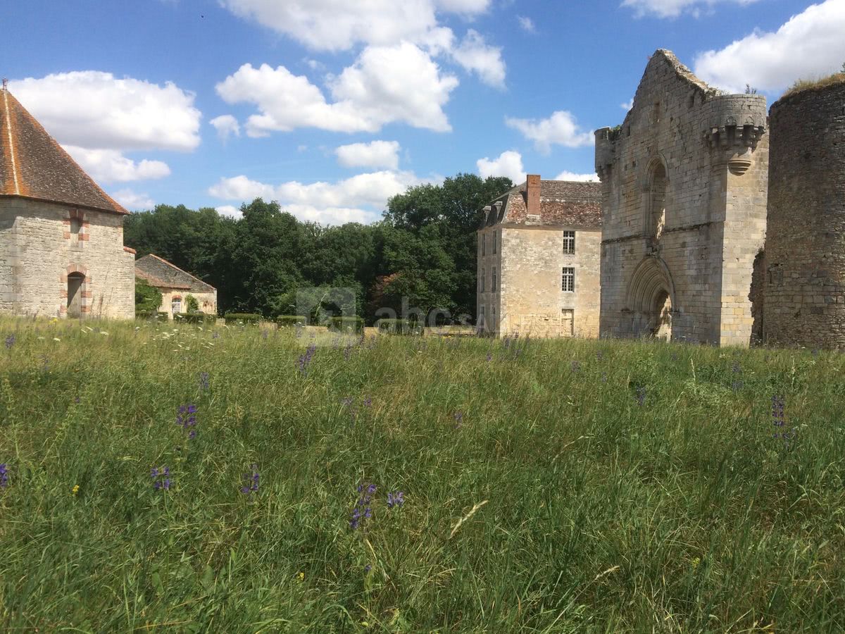 Jardin vu d'en haut