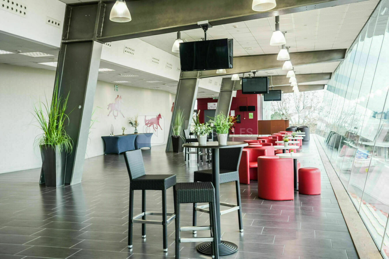 SALON DES PROPRIETAIRES HIPPODROME LA SOIE