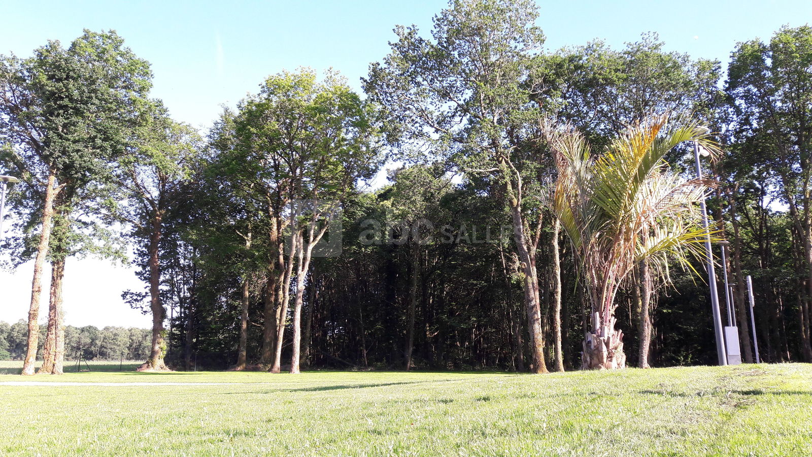 Parc ombragé
