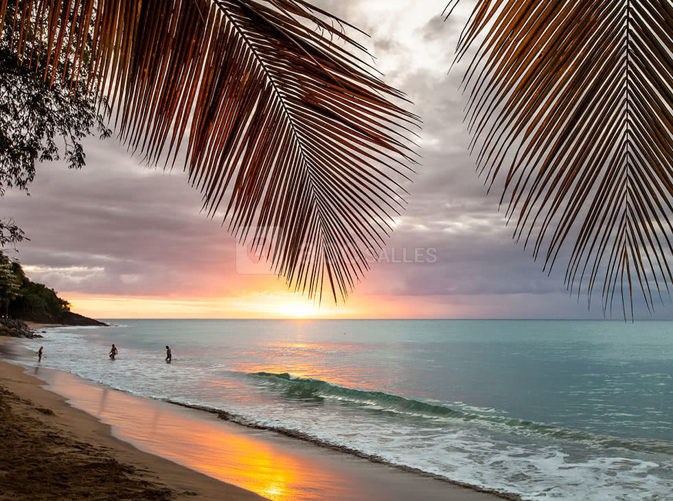 Langley Resort Fort Royal