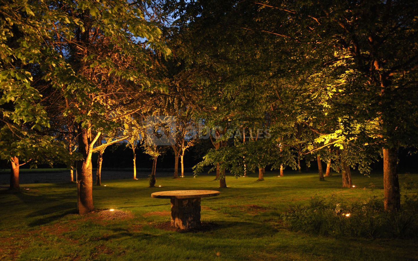 PARC ECLAIRÉ