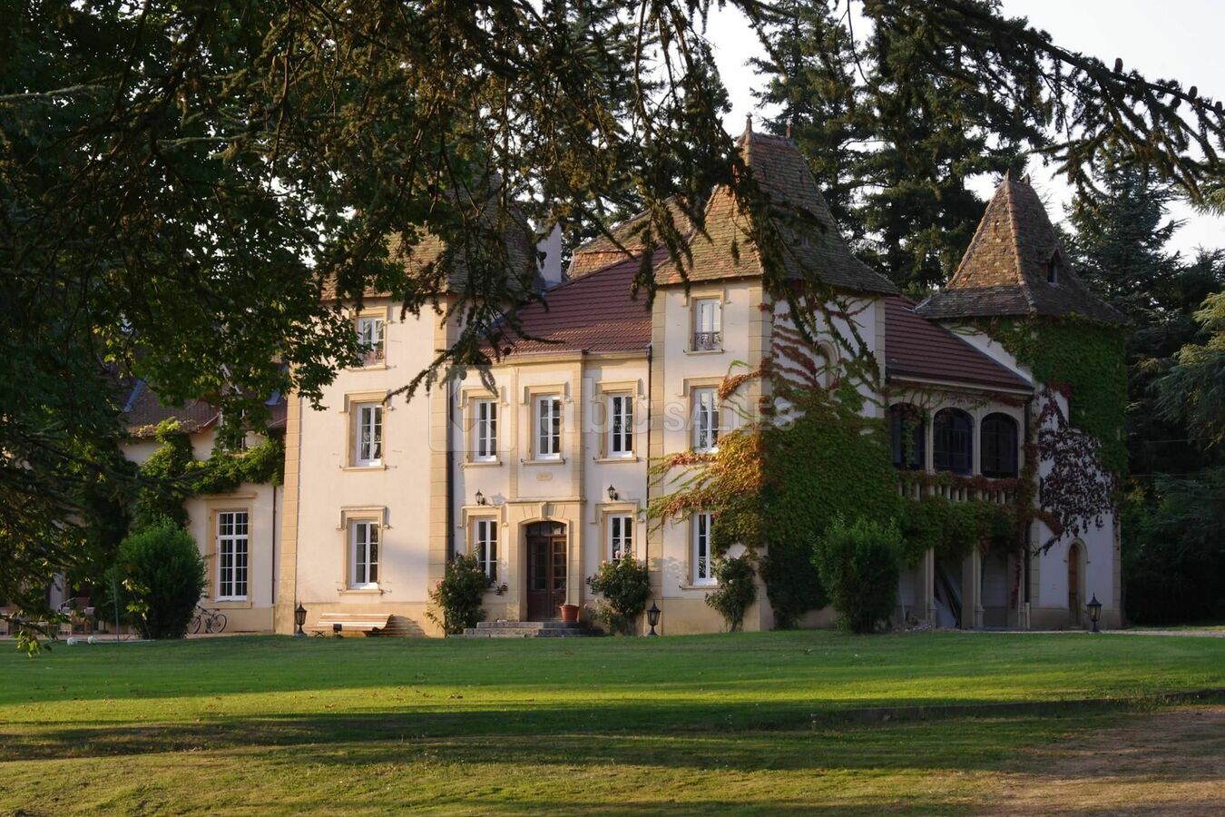 Vue d'ensemble du domaine
