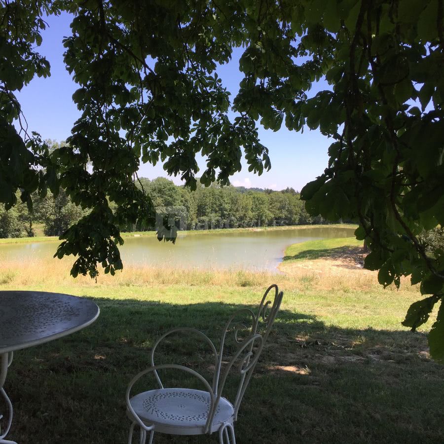 Vue sous marronnier