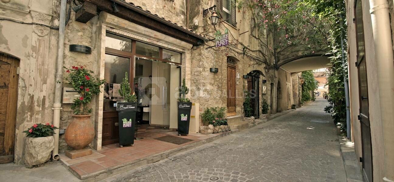 Le Figuier Saint Esprit