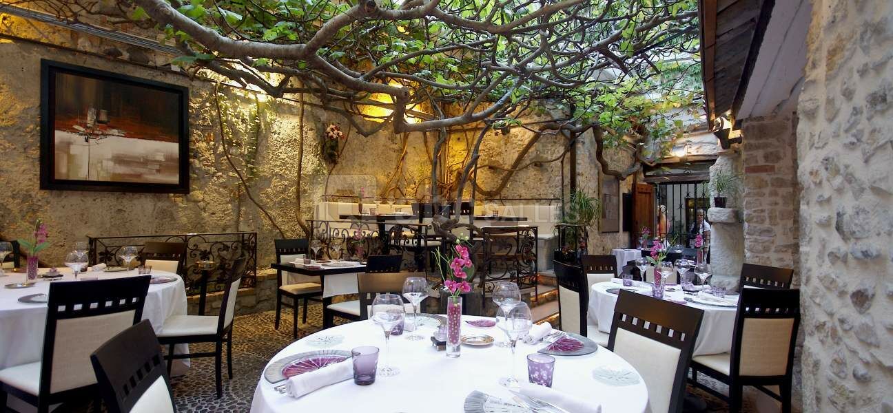 Le Figuier Saint Esprit