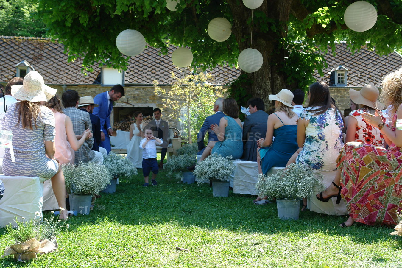 Mariage - cérémonie sous l'arbre