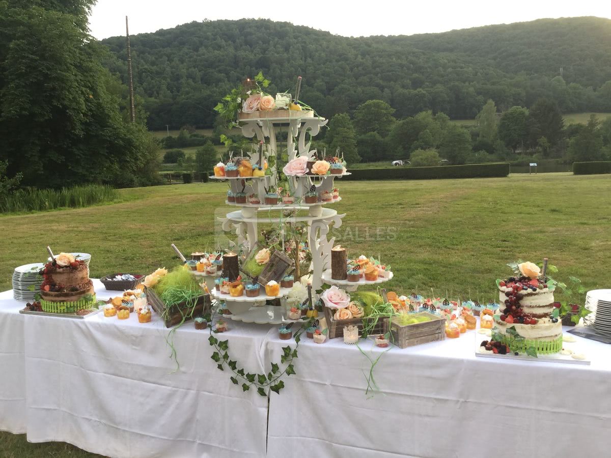 Vin d'honneur - devant le chateau