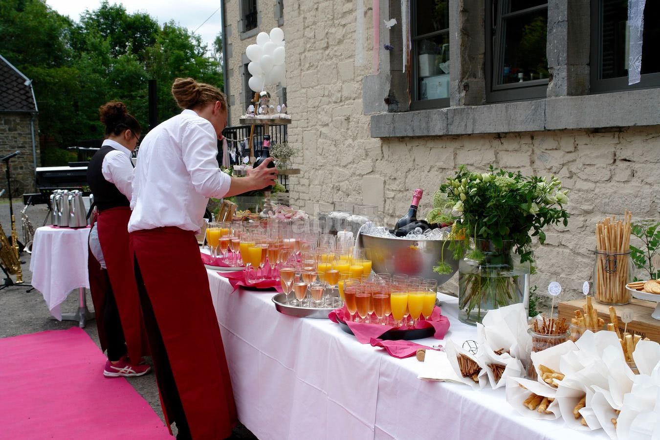 Vin d'Honneur - extérieur derrière château