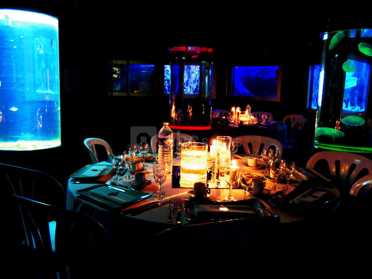 Privatisation Aquarium