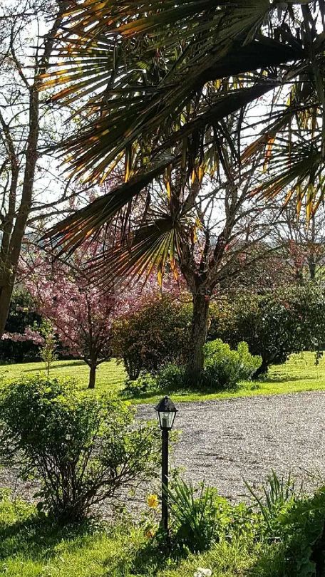 Le jardin