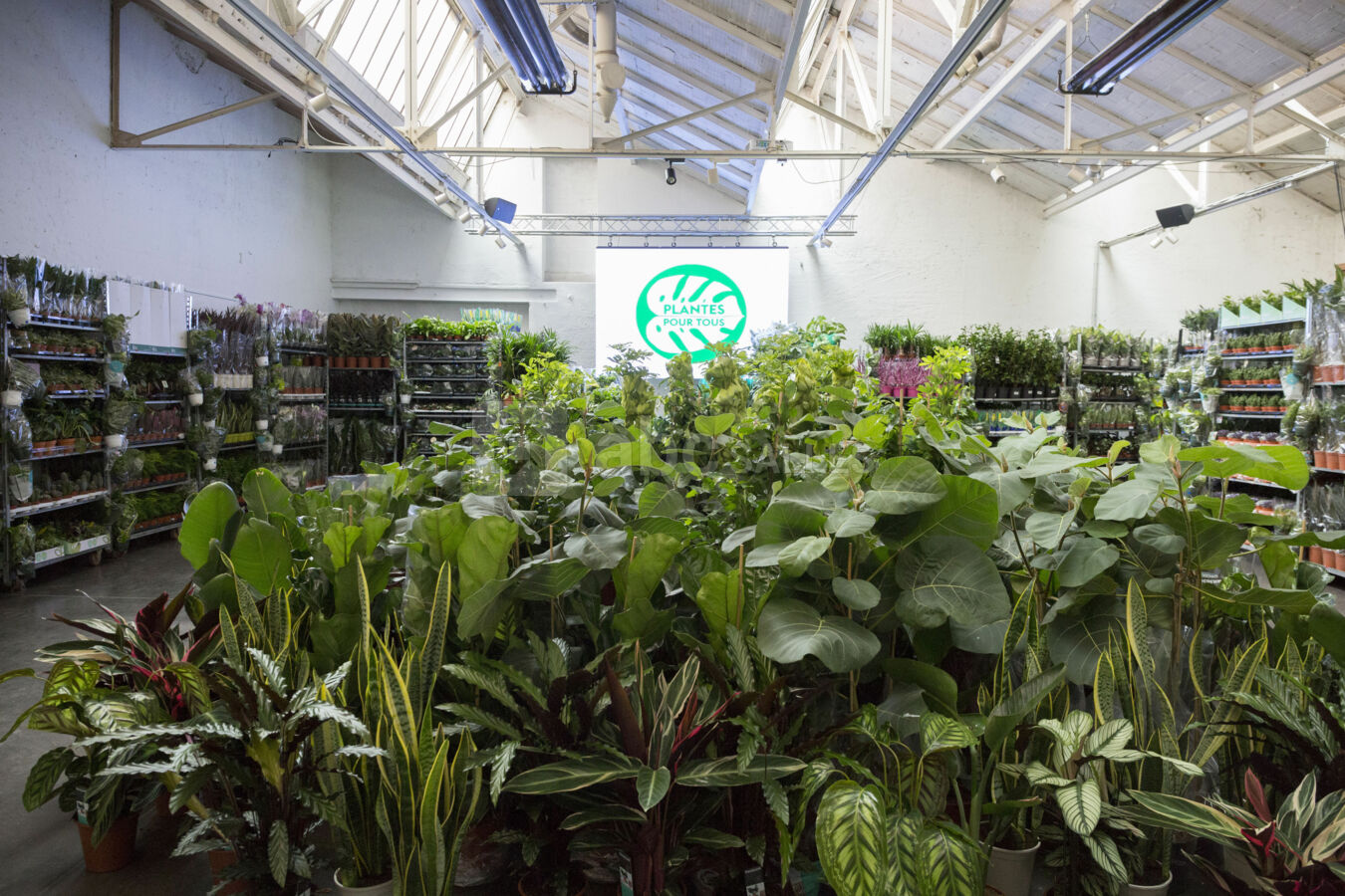 Plantes Pour Tous