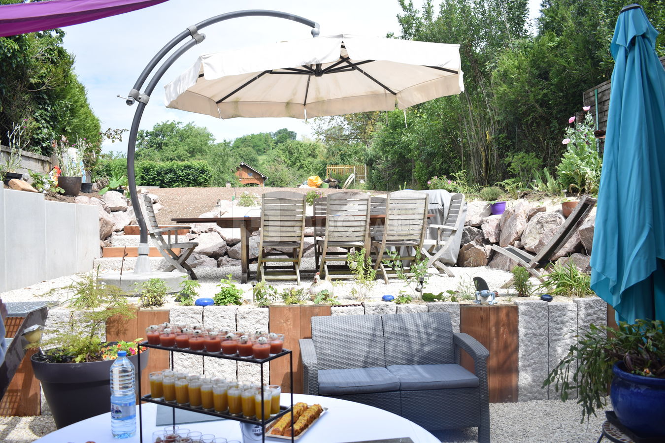 Le jardin