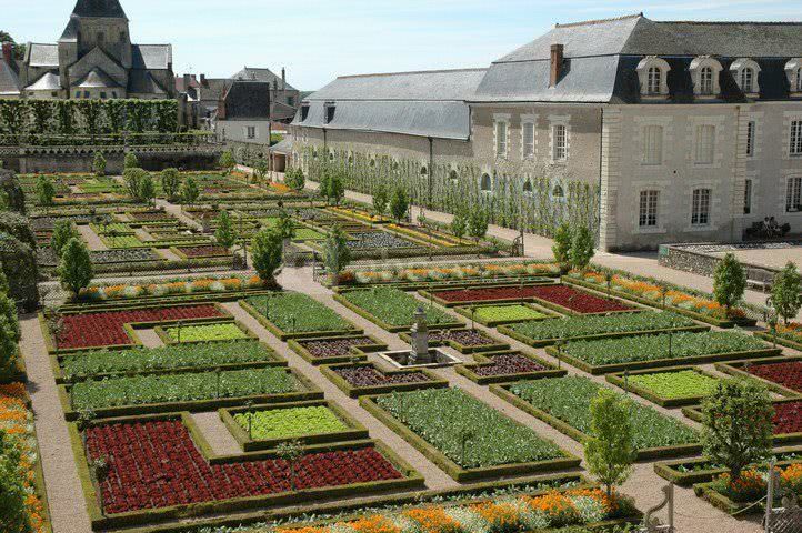 Le potager mai 2012