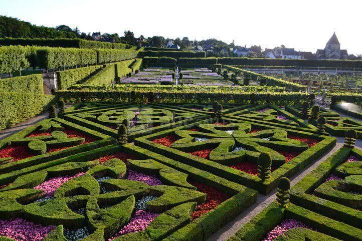 Le jardin d'ornement juillet 2012