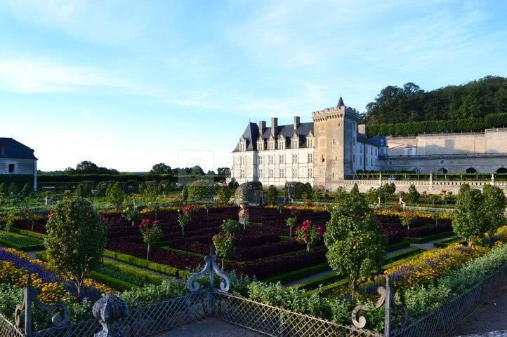 Le potager août 2012