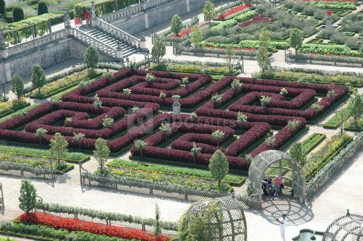 Le potager septembre 2012