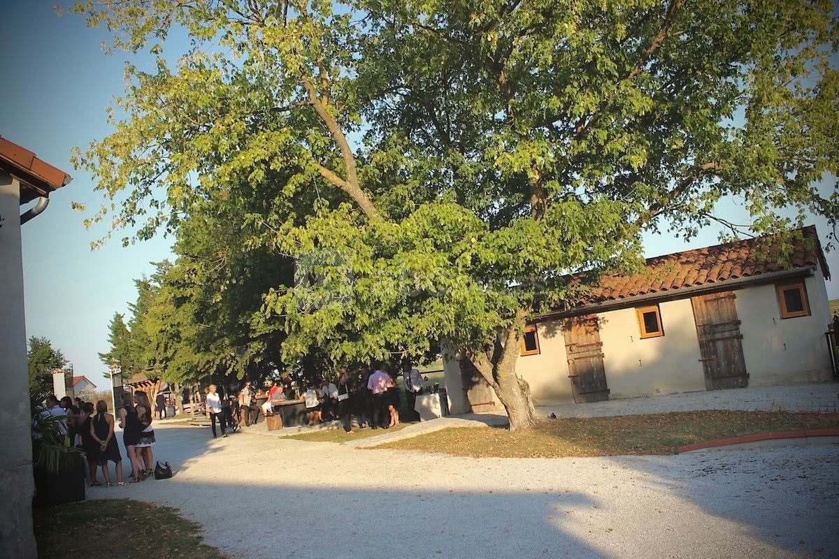 La Cour Du Domaine Mornand En Forez La Cour du Domaine - ABC Salles