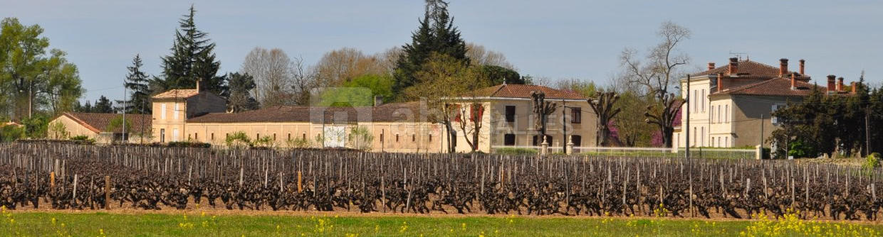 Château La Clotte-Cazalis