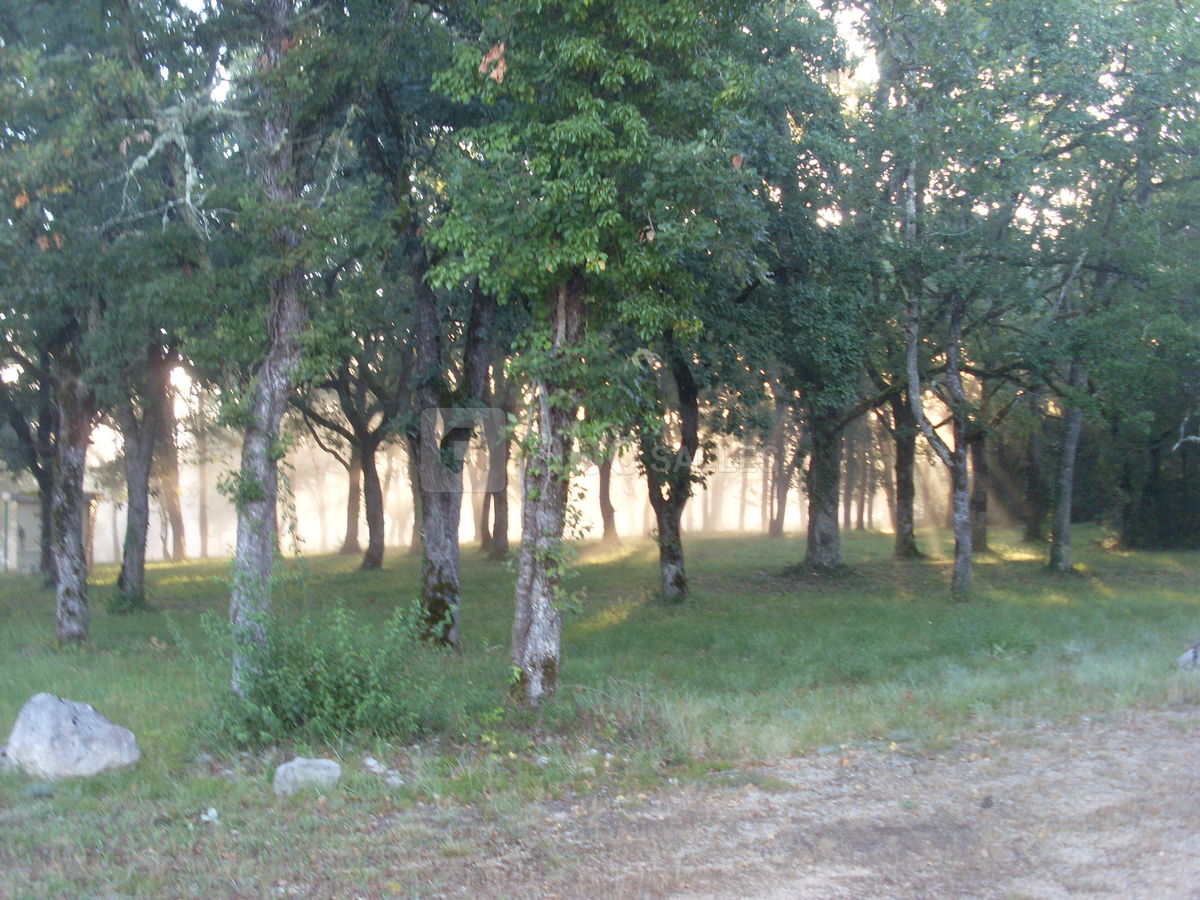 Les maisons entourées d'arbres