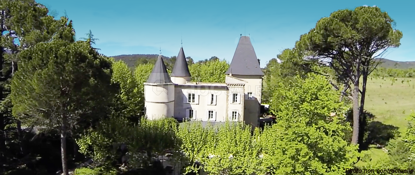 Le Château de Nans - Vue aérienne
