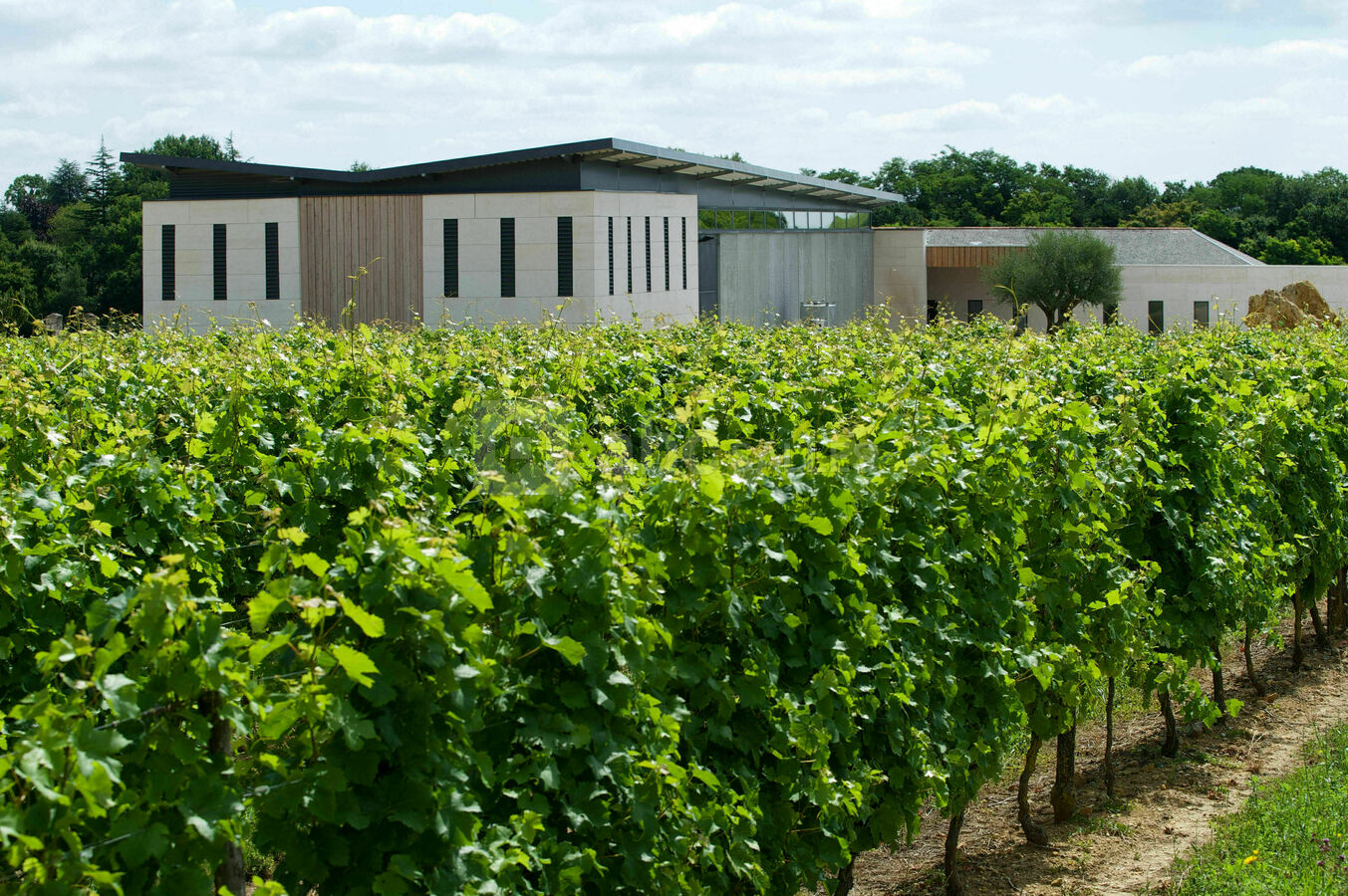 DOMAINE DE ROCHEVILLE