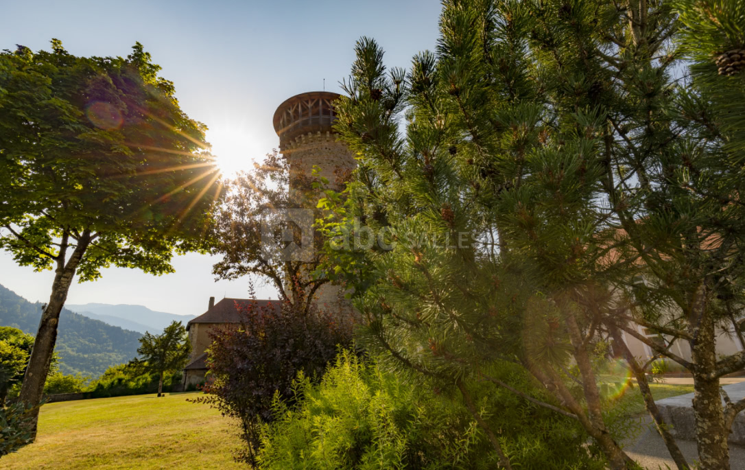 Château de Faverges