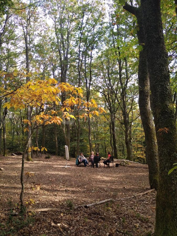 Séminaire pleine nature