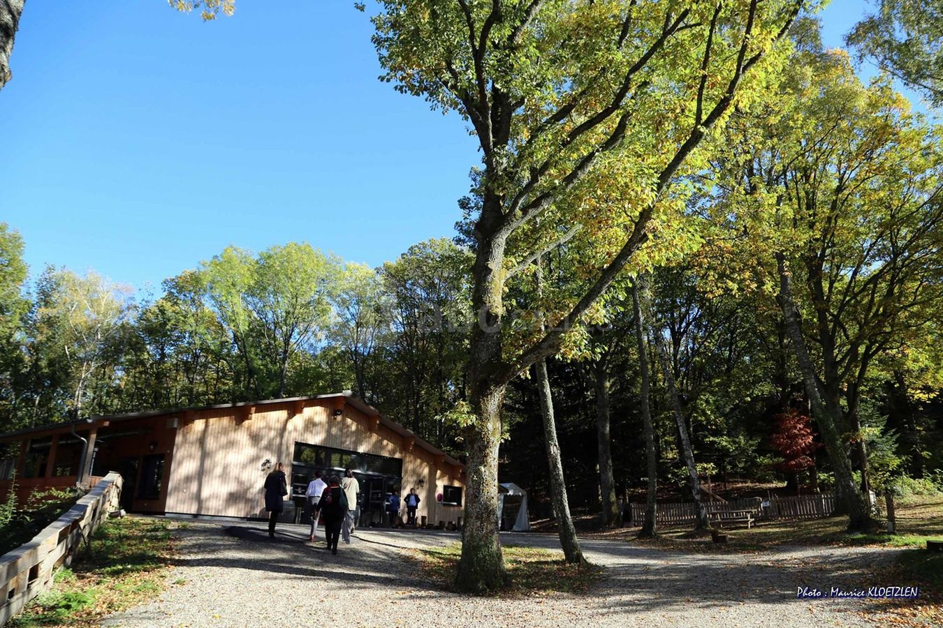 Chalet Convivial