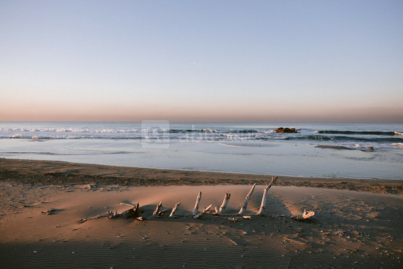 Plage Sauvage