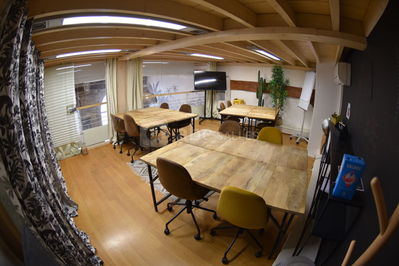 Salle JUNGLE atelier