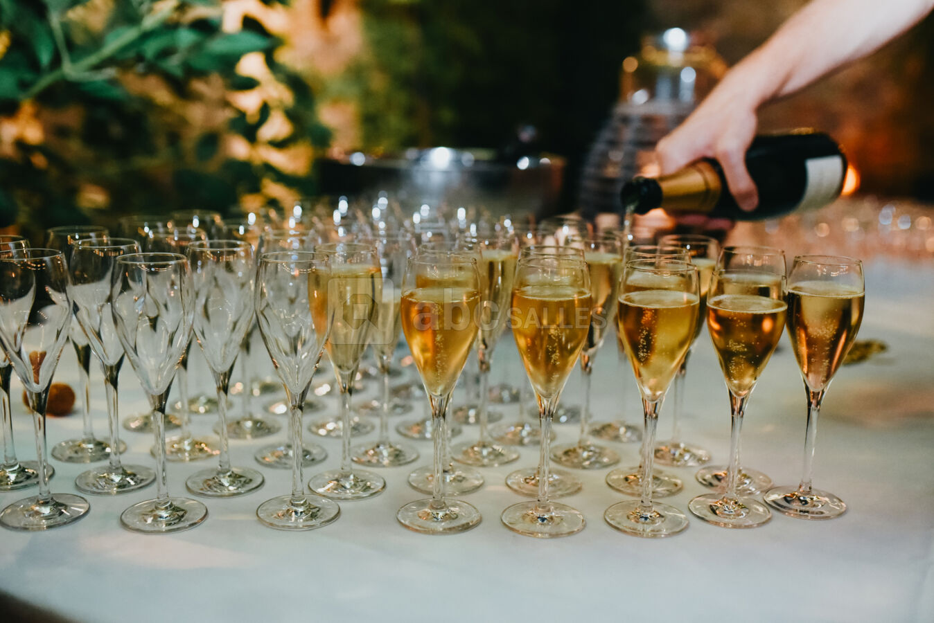 Champagne