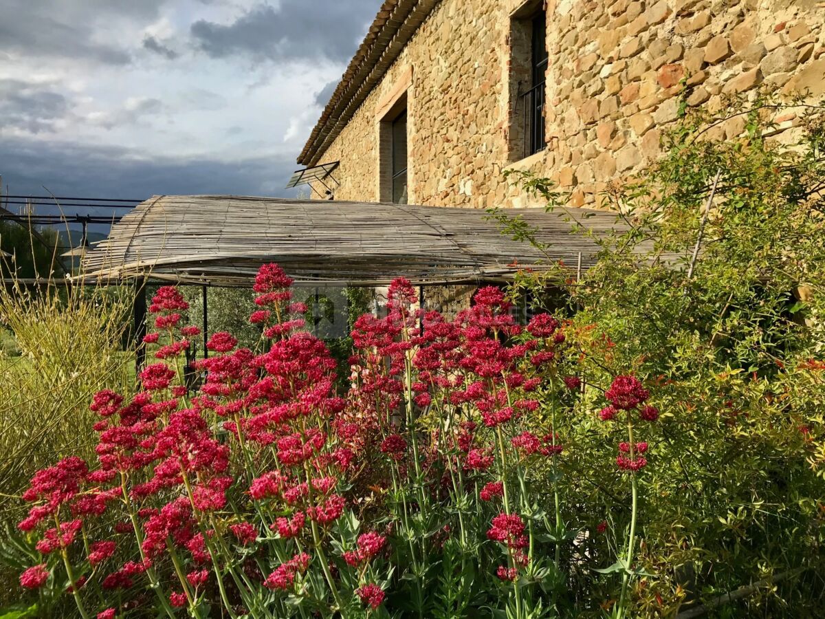 Maison mur en pierre