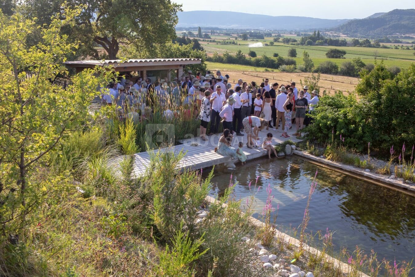 Cocktail piscine