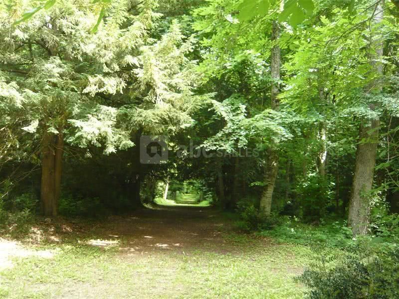 Château de Beaumont