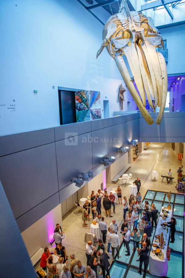 Espace liant Niveau 1 (aux portes des expositions temporaires)