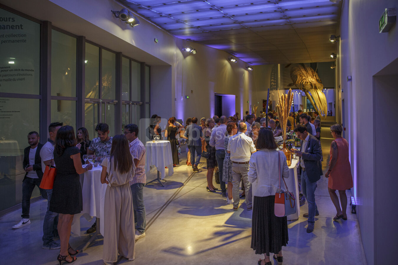 Espace liant Niveau 2 (aux portes du parcours permanent)