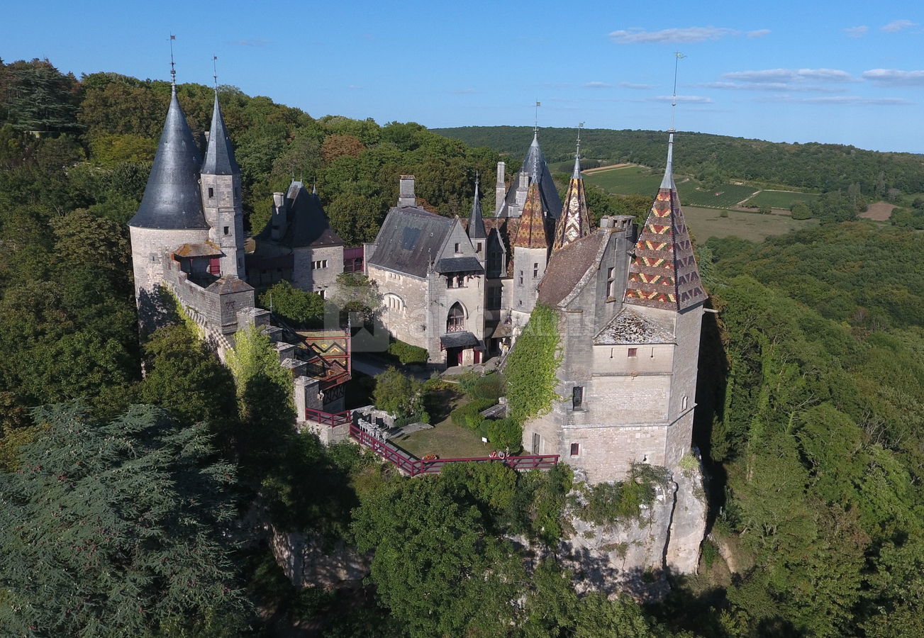 Chateau de La Rochepot