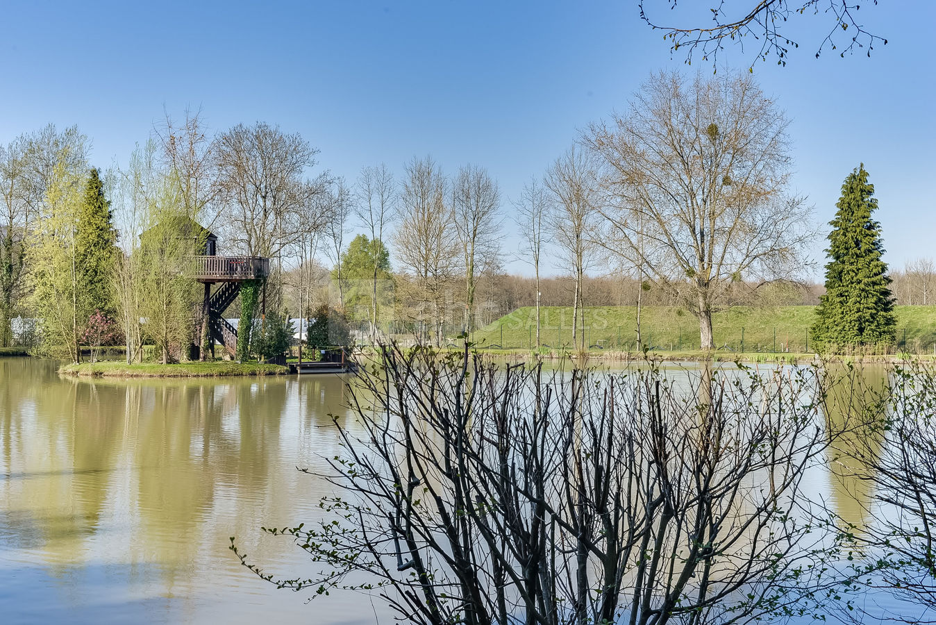 Etang avec cabane perchée sur l'île
