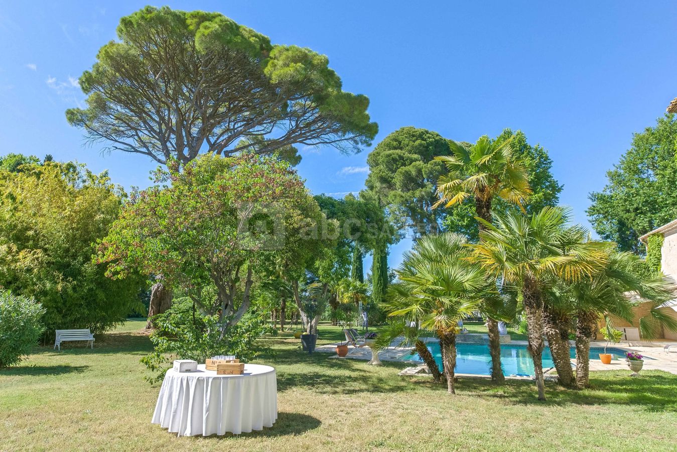Préparation de soft dans le parc, la piscine avec surveillant de baignade
