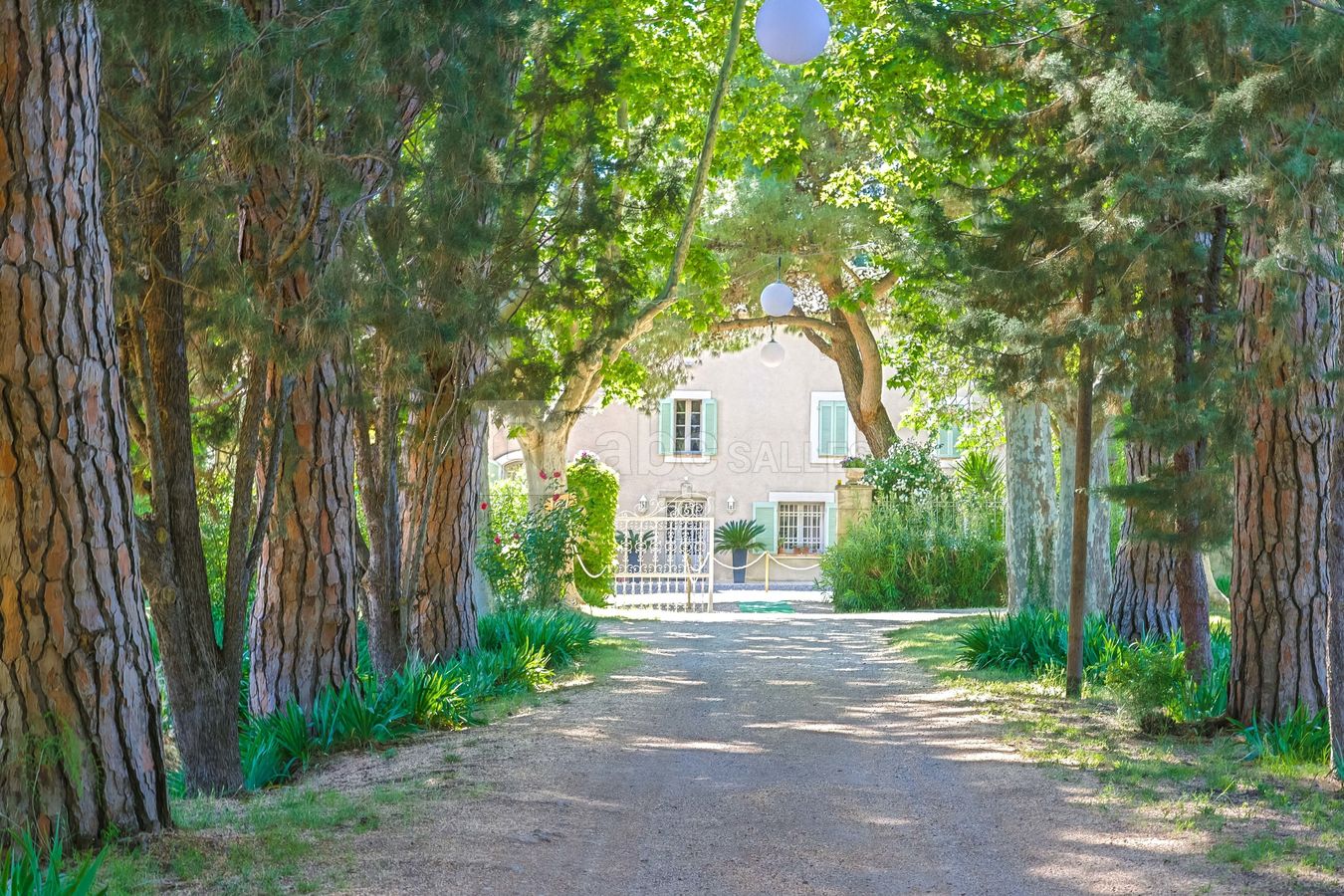 L'arrivée sur le domaine