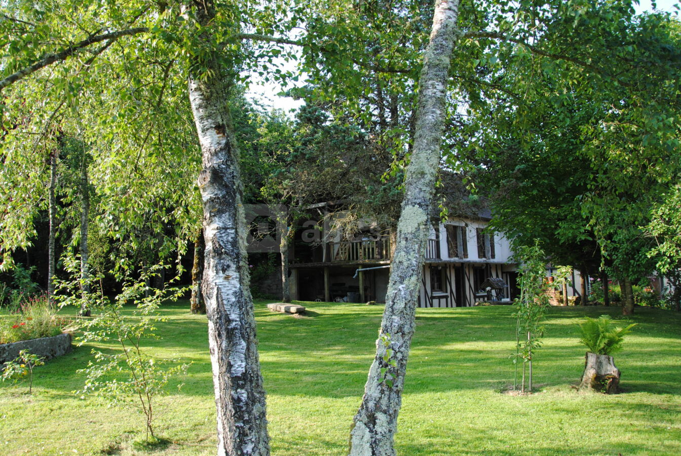 Le jardin