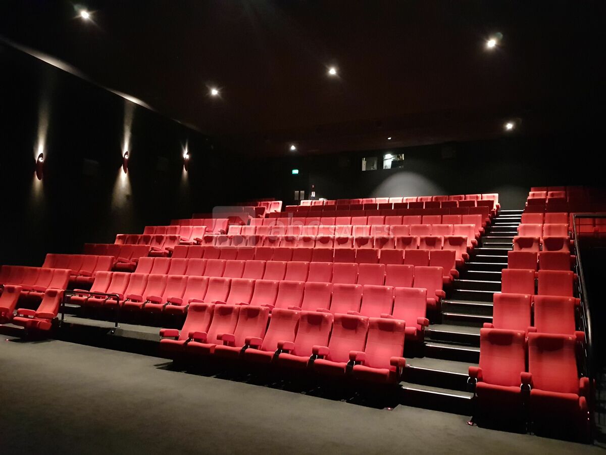 Cinéma Gaumont Toulouse Wilson – LJPRRC