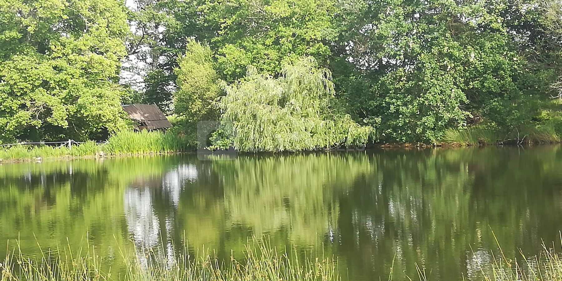 Le lac